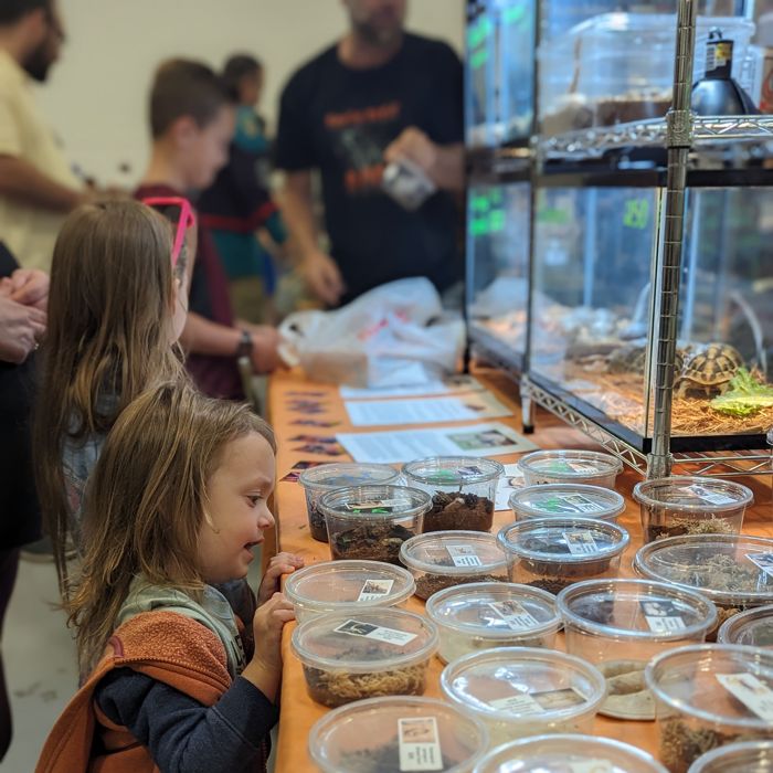 Young visitors discovering reptiles and supplies at the show