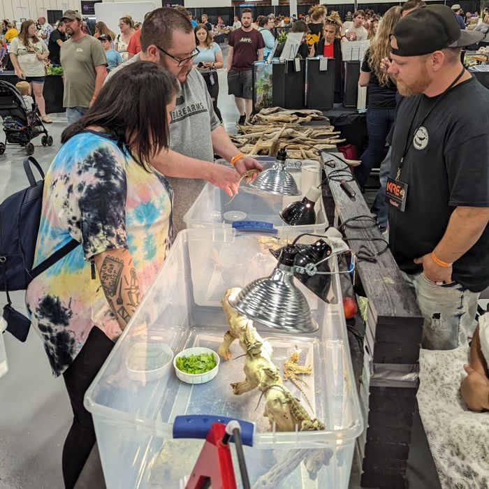Vendors sharing their animals and expertise